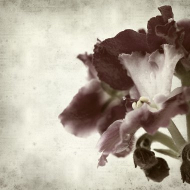 desenli eski kağıt arkaplan  