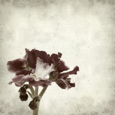 desenli eski kağıt arkaplan  