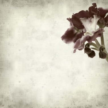 desenli eski kağıt arkaplan  