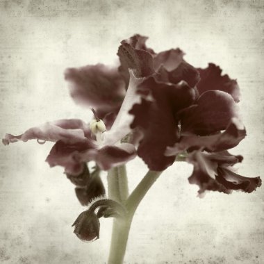 desenli eski kağıt arkaplan  