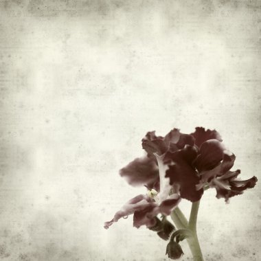 desenli eski kağıt arkaplan  