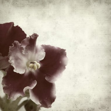 desenli eski kağıt arkaplan  