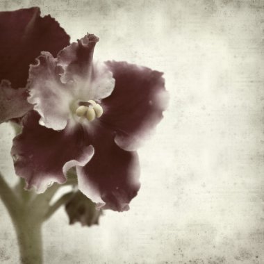 desenli eski kağıt arkaplan  