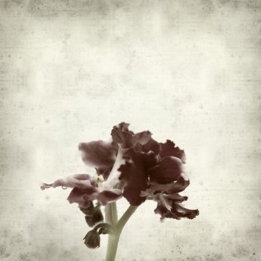 desenli eski kağıt arkaplan  