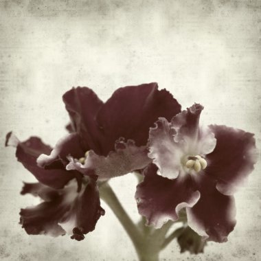 desenli eski kağıt arkaplan  