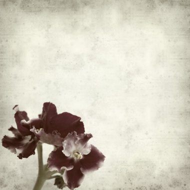 desenli eski kağıt arkaplan  