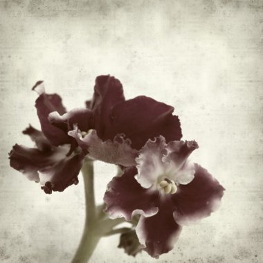 desenli eski kağıt arkaplan  