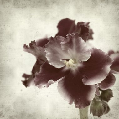 desenli eski kağıt arkaplan  