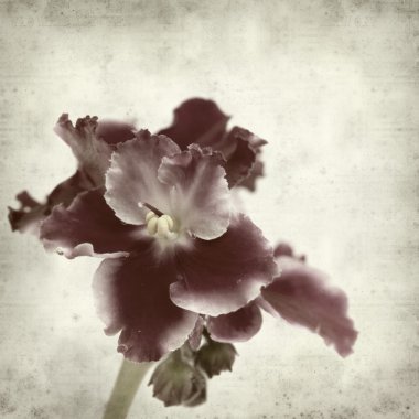 desenli eski kağıt arkaplan  