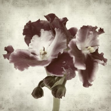 desenli eski kağıt arkaplan  