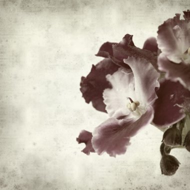 desenli eski kağıt arkaplan  