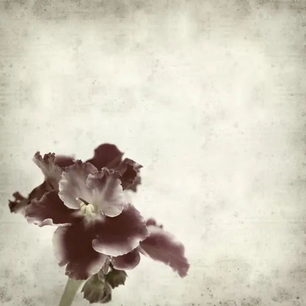 desenli eski kağıt arkaplan  