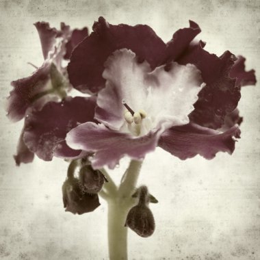 desenli eski kağıt arkaplan  