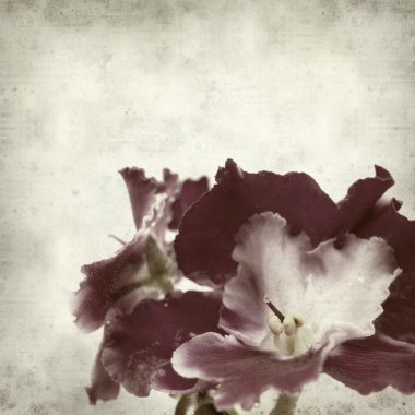 desenli eski kağıt arkaplan  