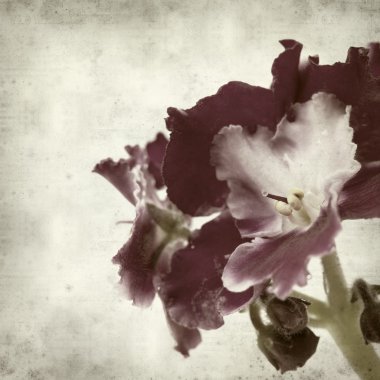 desenli eski kağıt arkaplan  