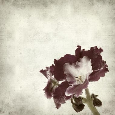 desenli eski kağıt arkaplan  