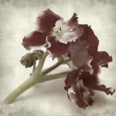 desenli eski kağıt arkaplan  