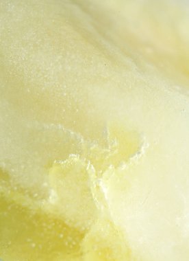 donmuş flora - sarı karanfil