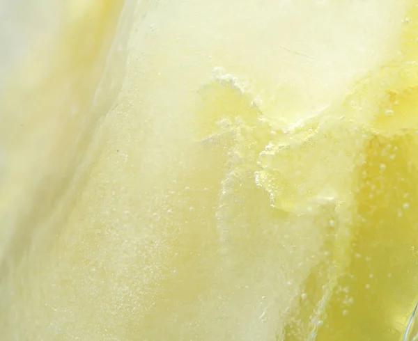冷冻的植物-黄色康乃馨 — 图库照片