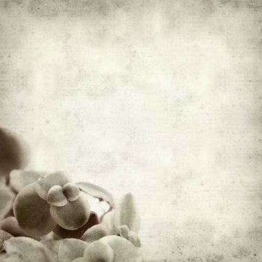 desenli eski kağıt arkaplan  