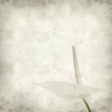 desenli eski kağıt arkaplan  