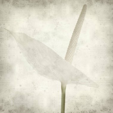 desenli eski kağıt arkaplan  