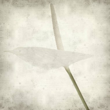 desenli eski kağıt arkaplan  