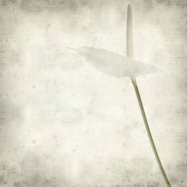 desenli eski kağıt arkaplan  