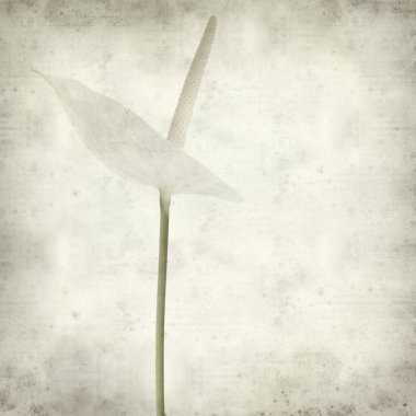 desenli eski kağıt arkaplan  