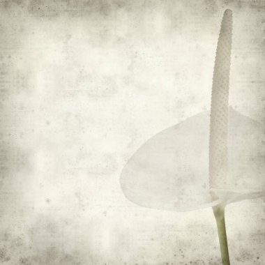 desenli eski kağıt arkaplan  