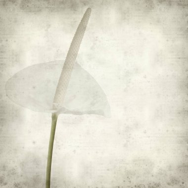 desenli eski kağıt arkaplan  