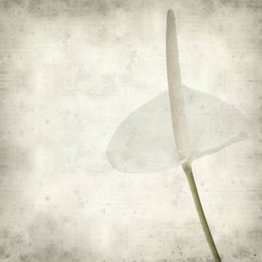 desenli eski kağıt arkaplan  