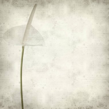 desenli eski kağıt arkaplan  