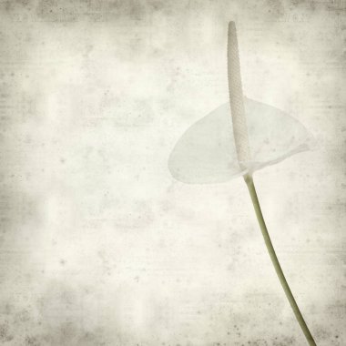 desenli eski kağıt arkaplan  