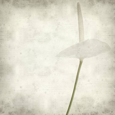 desenli eski kağıt arkaplan  