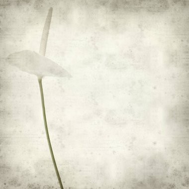 desenli eski kağıt arkaplan  