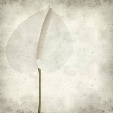 desenli eski kağıt arkaplan  