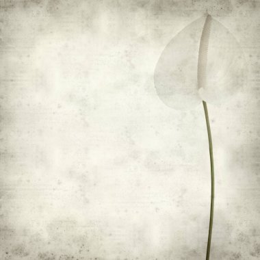 desenli eski kağıt arkaplan  