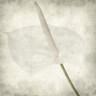 desenli eski kağıt arkaplan  