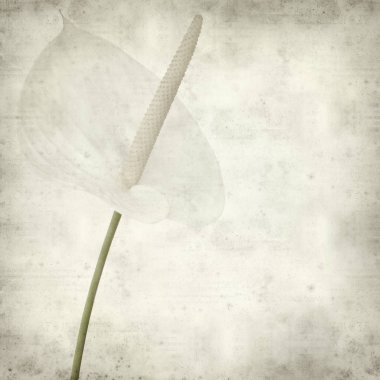 desenli eski kağıt arkaplan  