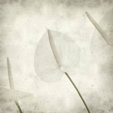 desenli eski kağıt arkaplan  