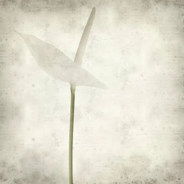 desenli eski kağıt arkaplan  