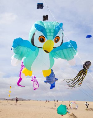 Fuerteventura Uçurtma Festivali