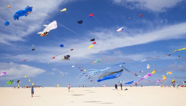 Fuerteventura Uçurtma Festivali