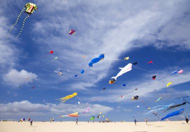 Fuerteventura Uçurtma Festivali