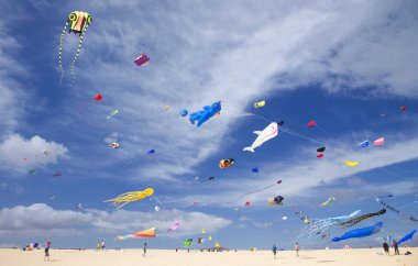 Fuerteventura Uçurtma Festivali