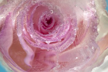 donmuş flora arka plan sanat