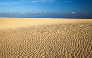 Corralejo Dunes içinde düşük akşam ışığı