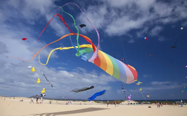 Fuerteventura Kite Fesztivál — Stock Fotó