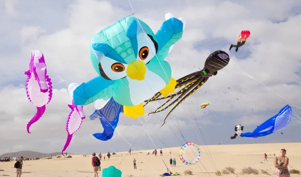 Fuerteventura Kite Fesztivál — Stock Fotó